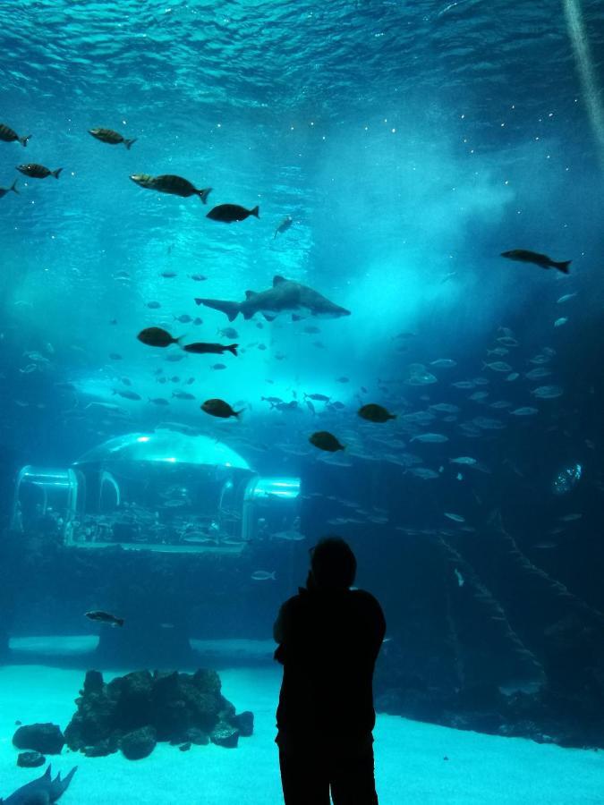 Las Canteras Aquarium Лас Палмас де Гран Канария Екстериор снимка
