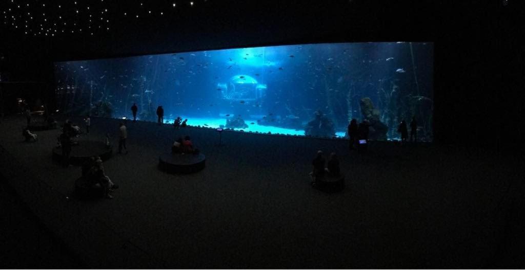 Las Canteras Aquarium Лас Палмас де Гран Канария Екстериор снимка